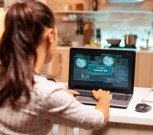 CIBERSEGURANCA-NA-ERA-DO-TRABALHO-REMOTO-GARANTA-A-PROTECAO-500x440 Home